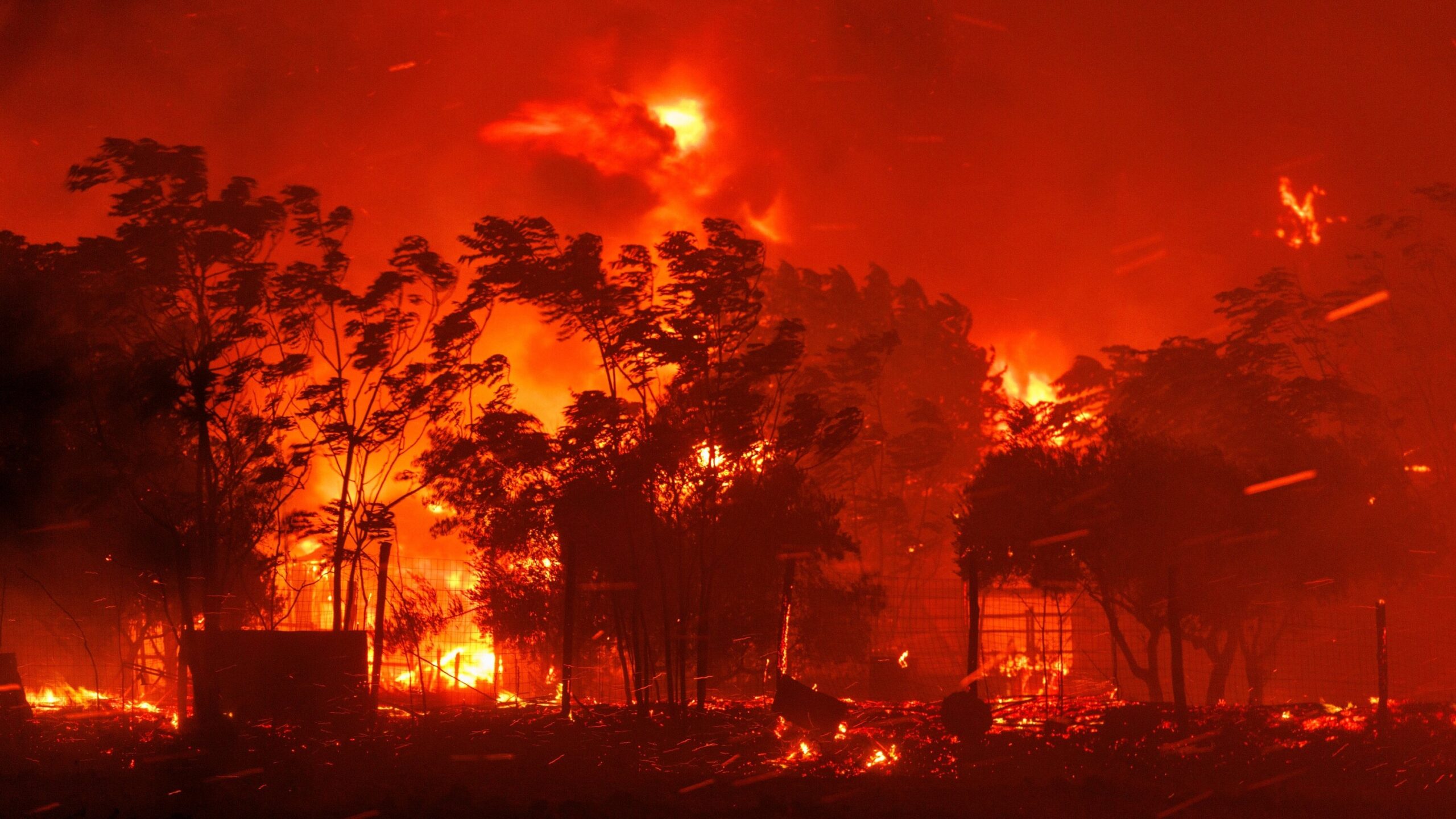 Грција: Надоместоците на осигурениците за летните шумски пожари се проценуваат на 49 милиони евра